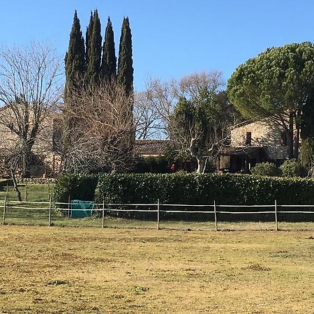 Podere Conte Racani Амелиа Екстериор снимка