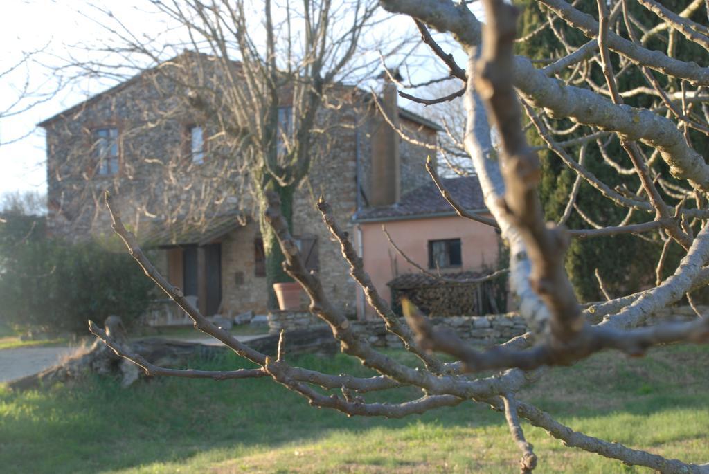 Podere Conte Racani Амелиа Екстериор снимка