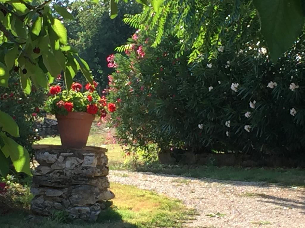 Podere Conte Racani Амелиа Екстериор снимка
