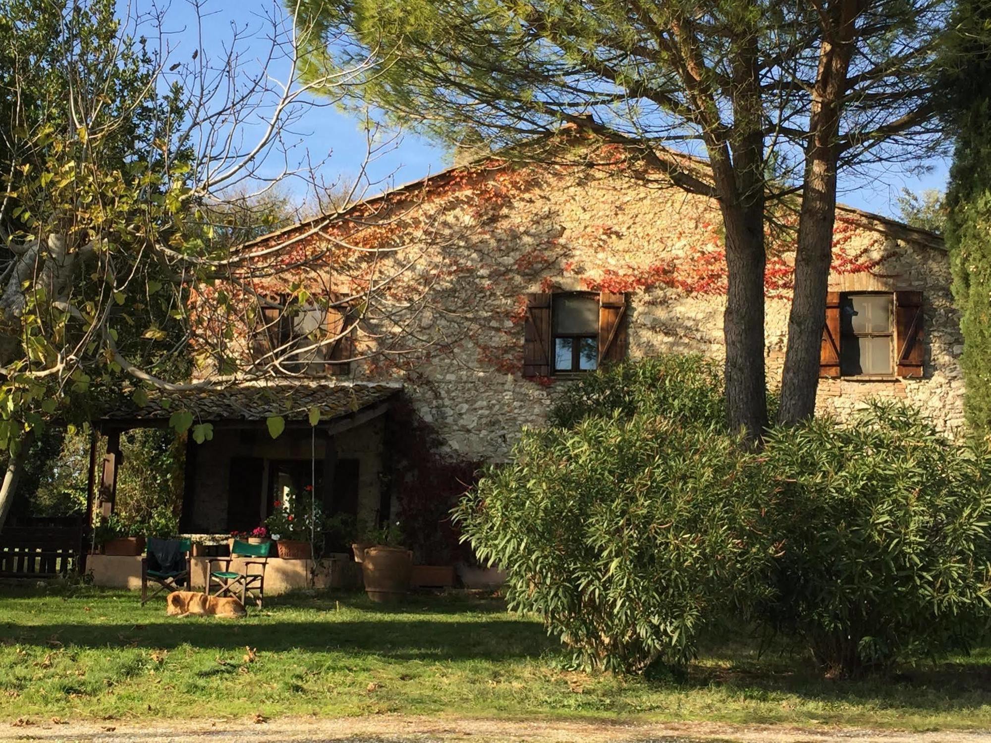 Podere Conte Racani Амелиа Екстериор снимка