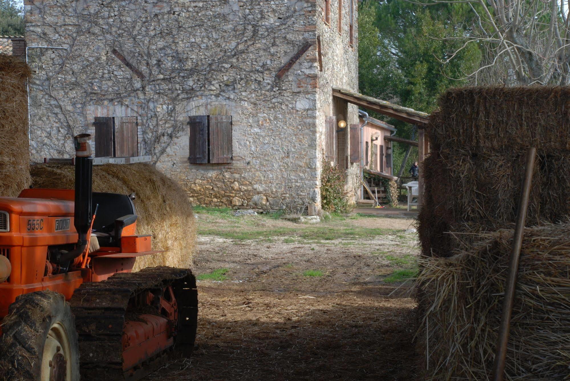 Podere Conte Racani Амелиа Екстериор снимка