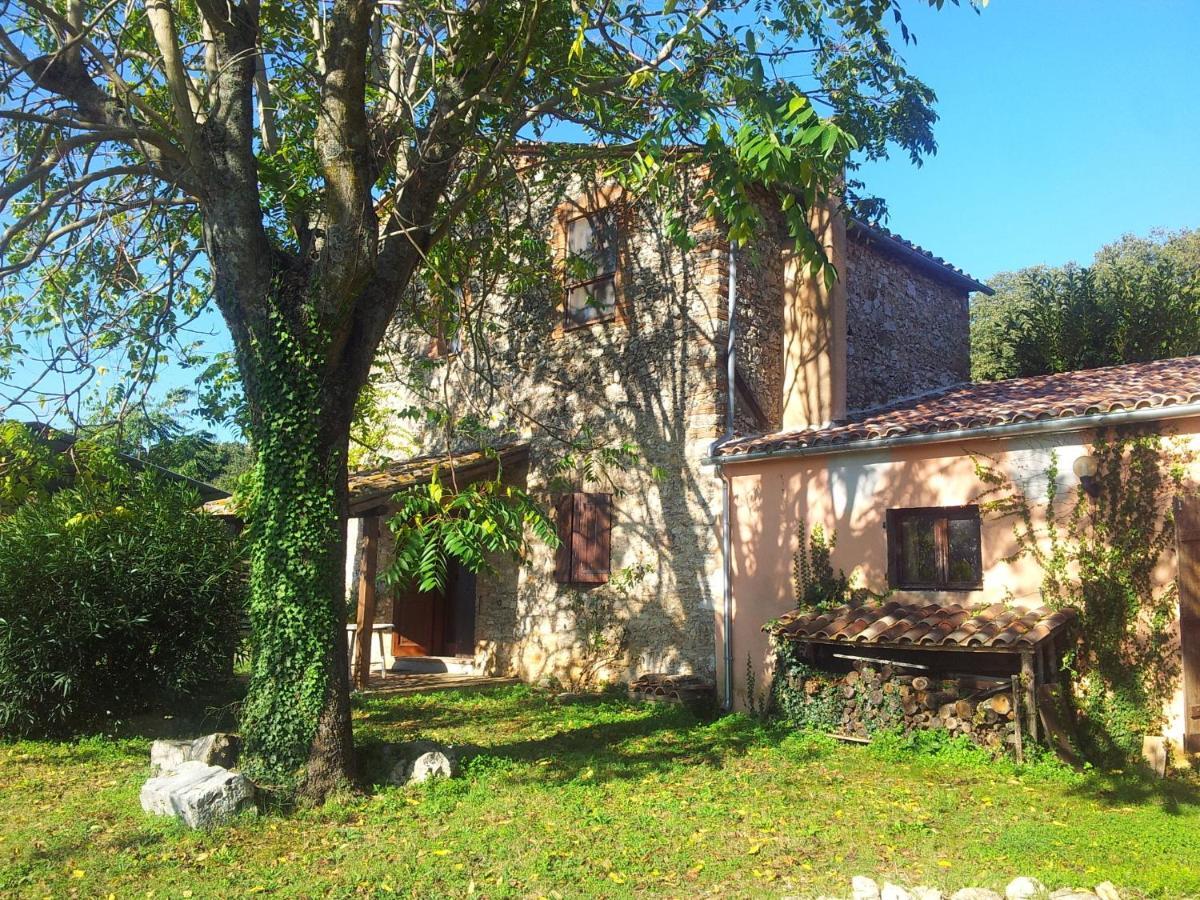 Podere Conte Racani Амелиа Стая снимка
